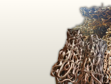 Dây rừng tự nhiên, uốn lượn ngẫu nhiên, phù hợp trang trí hoa, tiểu cảnh và decor mộc