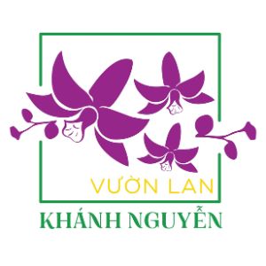 Vườn Lan Khánh Nguyễn