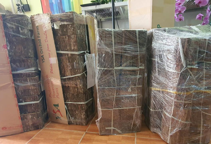 Hộp gỗ nhiều loại